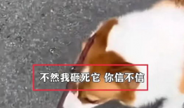 女生拉尿视频,拉尿视频背后的故事